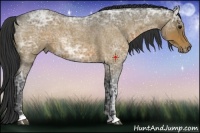 Horse Color:Brown Ice Roan 