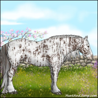 Horse Color:Liver Chestnut Sabino Splash Near Leopard  and Gray Liver Chestnut Sabino Splash Near Leopard 