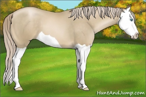 Horse Color:Chocolate Palomino Pearl Splash 