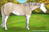 Horse Color:Chocolate Palomino Pearl Splash