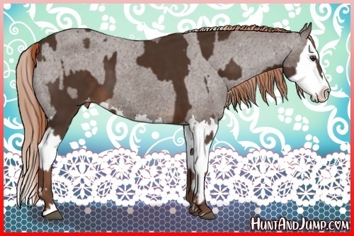 Horse Color:Liver Chestnut Sabino Splash Varnish  and Liver Chestnut Sabino Splash Varnish 