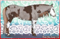 Horse Color:Liver Chestnut Sabino Splash Appaloosa and Liver Chestnut Sabino Splash Appaloosa