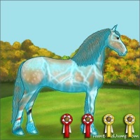 Horse Color:Thunderstruck Black Ice Pearl Rabicano