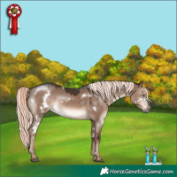Horse Color:White Spotted Liver Red Dun Mushroom Rabicano 