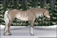 Horse Color:Liver Red Dun Rabicano 