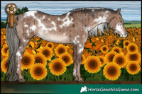 Horse Color:White Spotted Liver Red Dun Mushroom Rabicano Brindle 