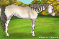 Horse Color:Liver Red Dun Onyx Sabino Rabicano 