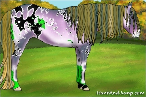 Horse Color:Painted Watercolor White Spotted Liver Red Onyx Appaloosa