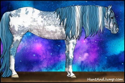 Horse Color:Watercolor White Spotted Brown Ice Appaloosa Rabicano 
