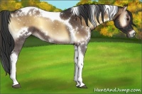 Horse Color:White Spotted Liver Red Onyx Tobiano 