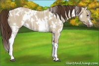 Horse Color:White Spotted Liver Red Dun Ice 