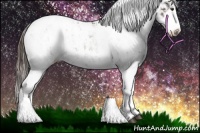 Horse Color:Liver Chestnut Sabino Splash Appaloosa and Liver Chestnut Sabino Splash Appaloosa