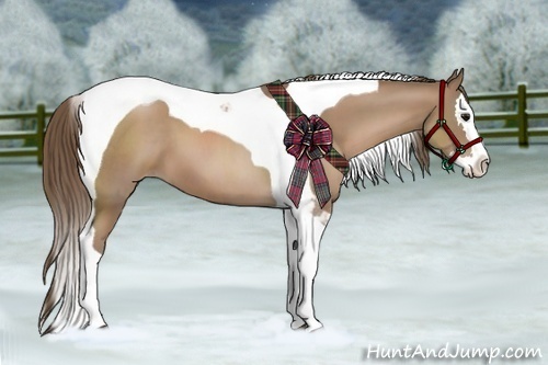 Horse Color:Black Pearl Splash Tobiano 