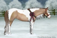 Horse Color:Black Pearl Splash Tobiano 