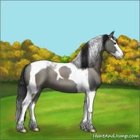 Horse Color:Grullo Sabino Splash Tobiano 
