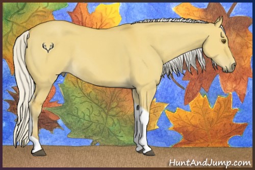 Horse Color:Silver Buckskin Dun Tobiano Rabicano 