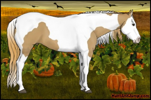 Horse Color:Red Dun Splash Tobiano 