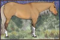 Horse Color:Silver Bay Dun Tobiano Rabicano