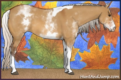 Horse Color:White Spotted Silver Bay Dun Tobiano 