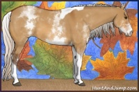Horse Color:White Spotted Silver Bay Dun Tobiano 