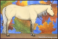 Horse Color:Silver Buckskin Dun 