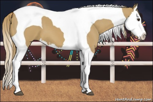 Horse Color:Red Dun Splash Tobiano 