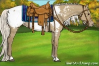 Horse Color:Silver Smoky Grullo Appaloosa