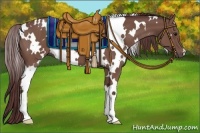 Horse Color:White Spotted Chocolate Smoky Black 