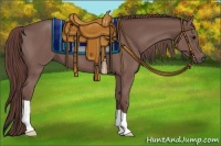 Horse Color:Chocolate Smoky Black