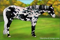 Horse Color:Watercolor Plaid Silver Bay Chinchilla Pearl Onyx Sabino