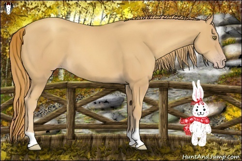 Horse Color:Gold Champagne 