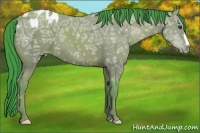 Horse Color:Watercolor Classic Champagne Ice Appaloosa 