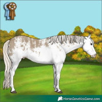 Horse Color:White Spotted Silver Smoky Grullo 