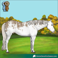 Horse Color:White Spotted Silver Smoky Grullo 