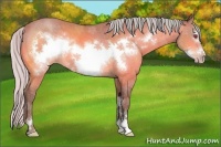 Horse Color:Silver Sable Champagne Chinchilla Sabino Frame 