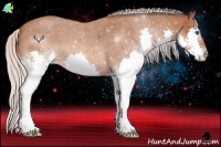 Horse Color:Silver Brown Roan Splash 