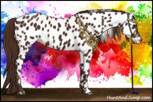 Horse Color:Liver Chestnut Near Leopard