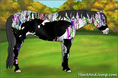 Horse Color:White Spotted Blue Ice Roan Frame Rabicano