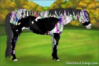 Horse Color:White Spotted Blue Ice Roan Frame Rabicano