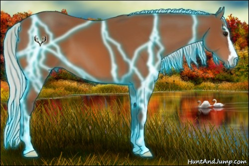 Horse Color:Thunderstruck Silver Bay Sabino