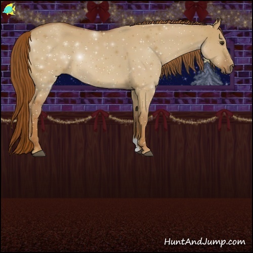 Horse Color:Red Dun Sabino