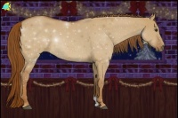 Horse Color:Red Dun Sabino