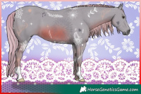 Horse Color:Watercolor Chestnut 