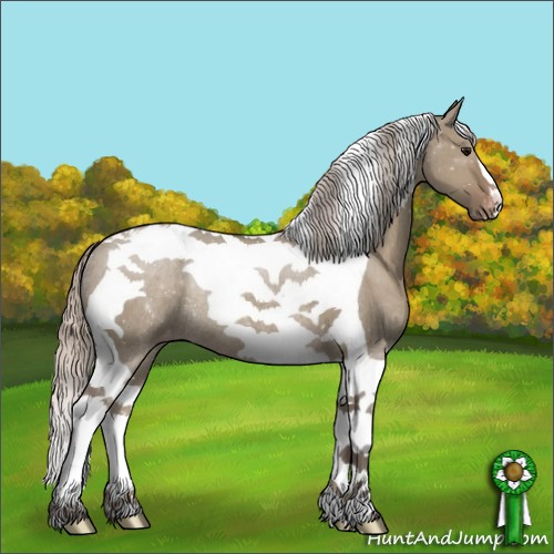 Horse Color:Silver Grullo Tobiano Appaloosa Rabicano 
