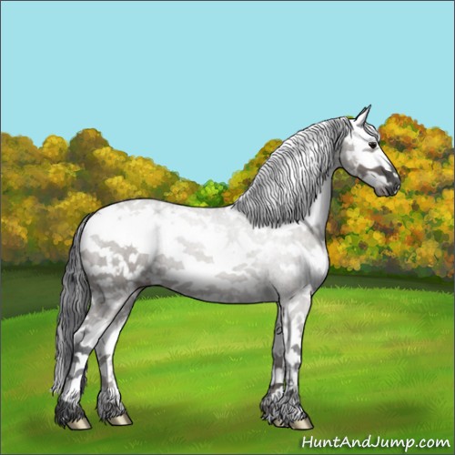 Horse Color:Grullo Sabino
