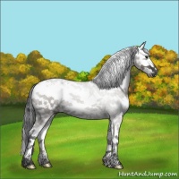 Horse Color:Grullo Sabino 