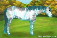 Horse Color:Thunderstruck Blue Onyx Ice Frame