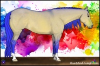 Horse Color:Watercolor Bay Dun 
