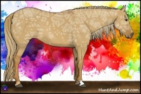 Horse Color:Red Dun Ice 