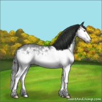Horse Color:Brown Chinchilla Ice Splash